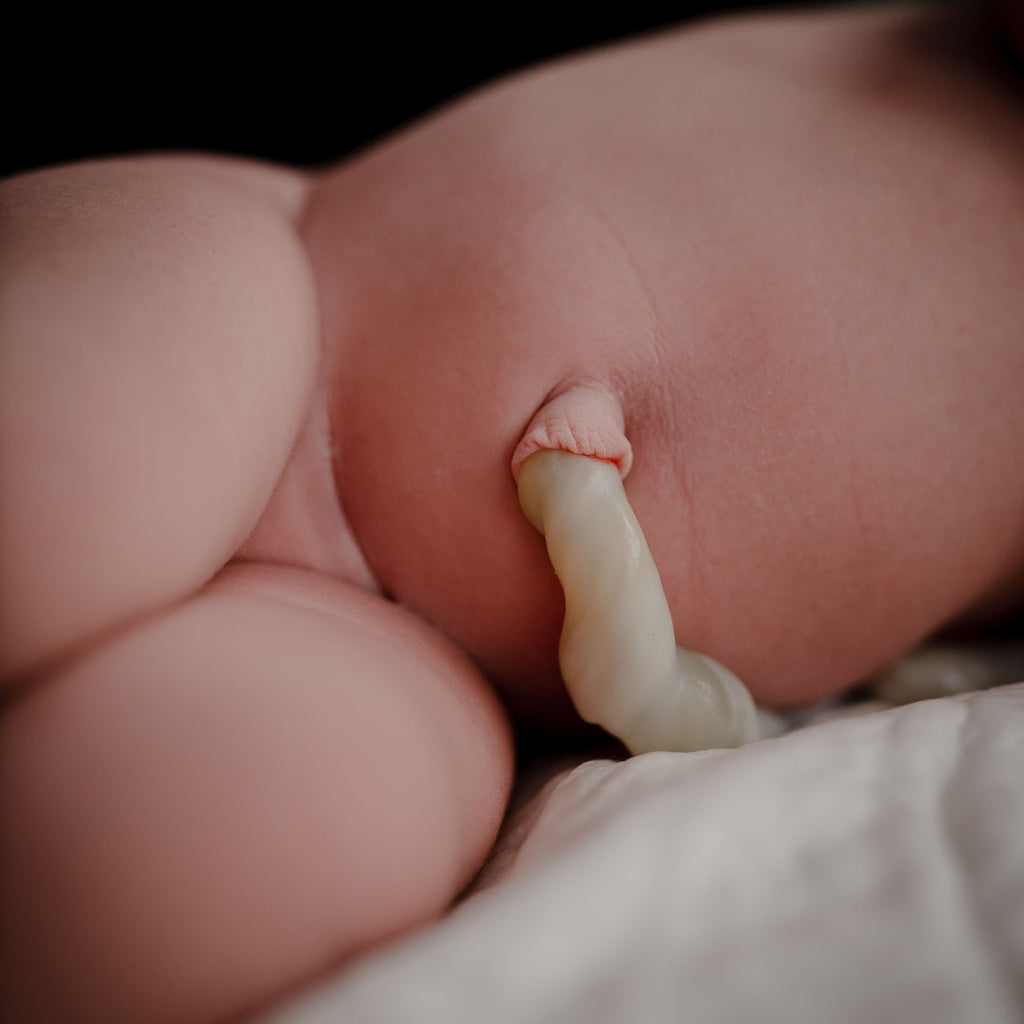 CHILDBIRTH EDUCATION WEEKEND CLASS FEBRUARY